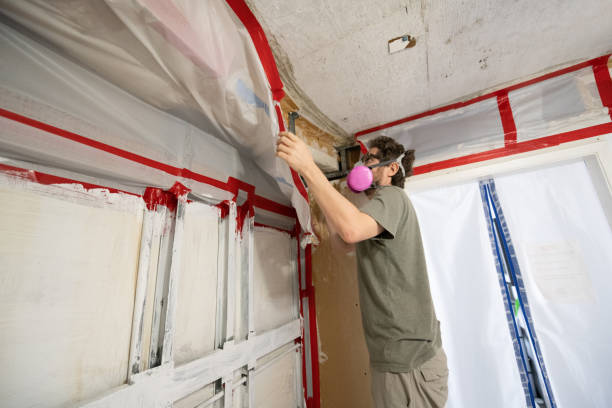 Best Mold Removal for HVAC Installations  in USA